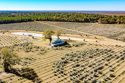 1201 Fm 2610, Livingston, TX 77351 - Photo 23