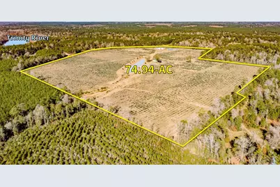 1201 Fm 2610, Livingston, TX 77351 - Photo 3
