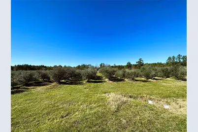 1201 Fm 2610, Livingston, TX 77351 - Photo 13