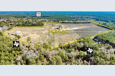 1201 Fm 2610, Livingston, TX 77351 - Photo 1