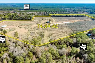 1201 Fm 2610, Livingston, TX 77351 - Photo 1