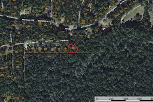 76 Corkwood Rd, Trinity, TX 75862 - Photo 33