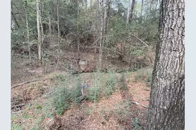 76 Corkwood Road, Trinity, TX 75862 - Photo 29