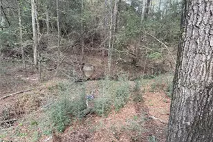 76 Corkwood Rd, Trinity, TX 75862 - Photo 29