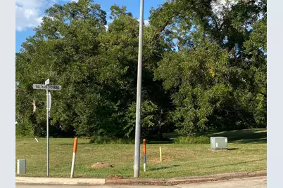 33110 Waltham Crossing, Fulshear, TX 77441 - Photo 3