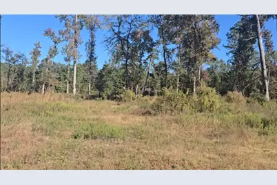Tract C-3 Gaff Road, Magnolia, TX 77355 - Photo 1