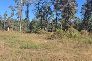 Tract C-3 Gaff Rd, Magnolia, TX 77355 - Photo 1
