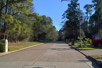 2931 Whitman Drive, Montgomery, TX 77356 - Photo 49