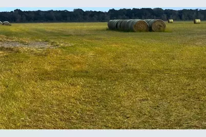 Tbd County Road 321, Louise, TX 77455 - Photo 3