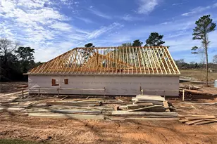 10118 County Road 302, Plantersville, TX 77363 - Photo 13