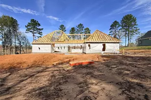 10118 County Road 302, Plantersville, TX 77363 - Photo 7