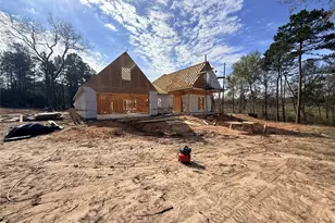 10118 County Road 302, Plantersville, TX 77363 - Photo 13