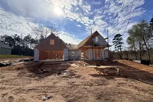 10118 County Road 302, Plantersville, TX 77363 - Photo 19