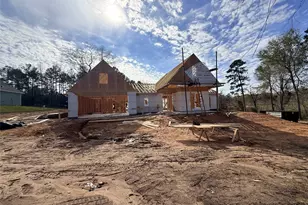 10118 County Road 302, Plantersville, TX 77363 - Photo 15