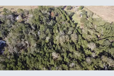 Tbd Road 3813, Cleveland, TX 77328 - Photo 7