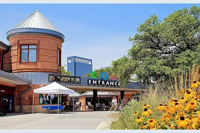 1414 Rosewood Street, Houston, TX 77004 - Photo 47