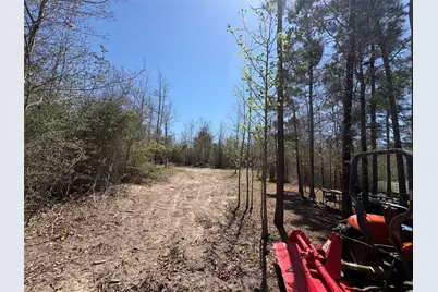 00 County Road 4180, Lovelady, TX 75851 - Photo 11