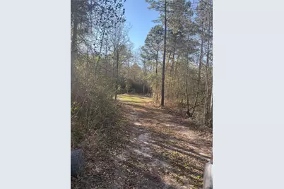 00 County Road 4180, Lovelady, TX 75851 - Photo 3