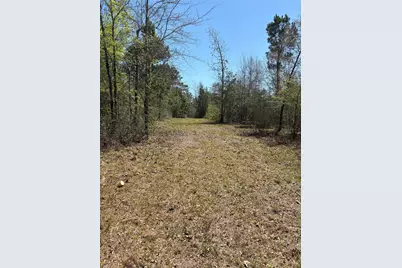 00 County Road 4180, Lovelady, TX 75851 - Photo 7