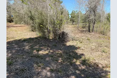 00 County Road 4180, Lovelady, TX 75851 - Photo 9