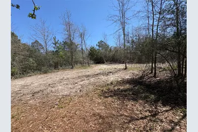 00 County Road 4180, Lovelady, TX 75851 - Photo 1