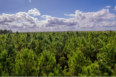 Lot 6 Fm 943, Livingston, TX 77351 - Photo 5