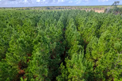 Lot 6 Fm 943, Livingston, TX 77351 - Photo 7