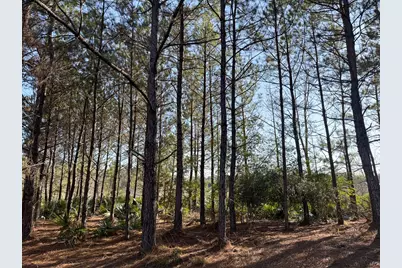 1498 County Road 325, Cleveland, TX 77327 - Photo 39