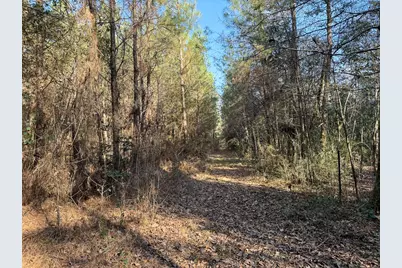 1498 County Road 325, Cleveland, TX 77327 - Photo 31