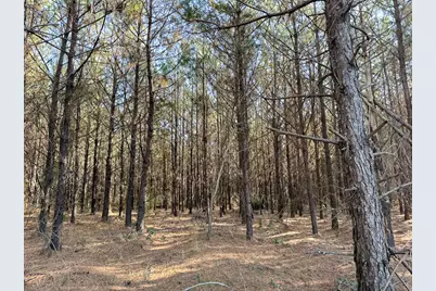 1498 County Road 325, Cleveland, TX 77327 - Photo 29