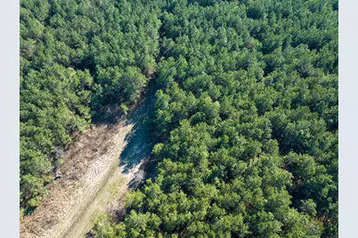 1498 County Road 325, Cleveland, TX 77327 - Photo 21