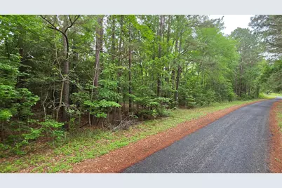 Tbd Heron Lane, Coldspring, TX 77331 - Photo 3