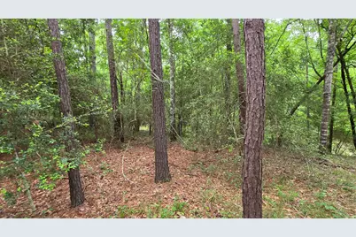 Tbd Heron Lane, Coldspring, TX 77331 - Photo 9