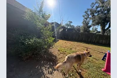 2232 River Oaks Road, West Columbia, TX 77486 - Photo 17