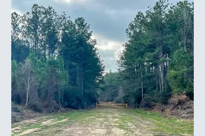 3 Fm 421, Lumberton, TX 77625 - Photo 7