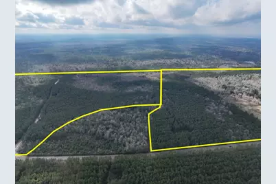 3 Fm 421, Lumberton, TX 77625 - Photo 3