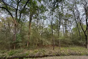 Tbd28 Broadmoor Dr, Trinity, TX 75862 - Photo 1