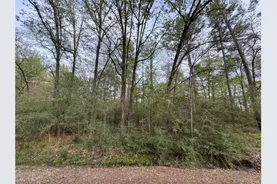 Tbd28 Broadmoor Drive, Trinity, TX 75862 - Photo 3