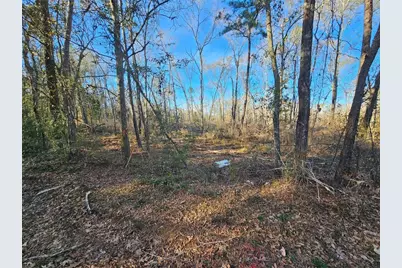 Lot 1 Sherwood Drive, Shepherd, TX 77371 - Photo 11