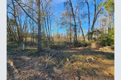Lot 1 Sherwood Drive, Shepherd, TX 77371 - Photo 21