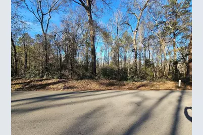 Lot 1 Sherwood Drive, Shepherd, TX 77371 - Photo 3