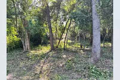 0 Whitehorse Lane, Willis, TX 77378 - Photo 5