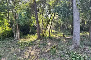 0 Whitehorse Ln, Willis, TX 77378 - Photo 5