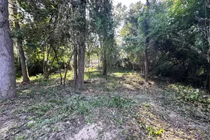 0 Whitehorse Ln, Willis, TX 77378 - Photo 3