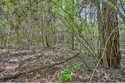 16893 Whippoorwill Road, Navasota, TX 77868 - Photo 27
