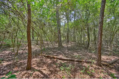 16893 Whippoorwill Road, Navasota, TX 77868 - Photo 23