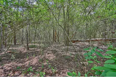 16893 Whippoorwill Road, Navasota, TX 77868 - Photo 21