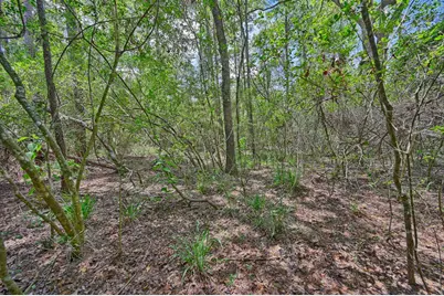 16893 Whippoorwill Road, Navasota, TX 77868 - Photo 29