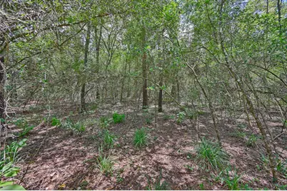 16893 Whippoorwill Road, Navasota, TX 77868 - Photo 31