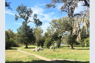 00004 Nelson Road, Hempstead, TX 77445 - Photo 15